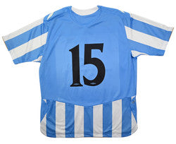 Maillot Mladá Boleslav 2008-09 Domicile Umbro Vintage 9/10
