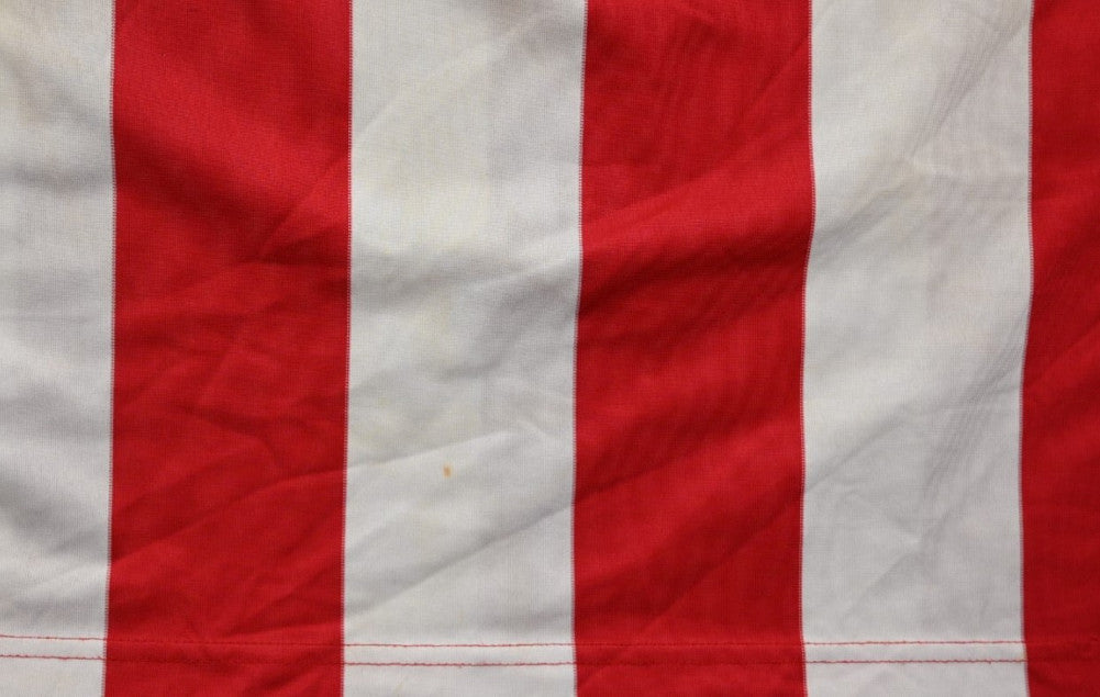 Maillot Crvena Zvezda 2009-10 Nike Vilotic Domicile Vintage L