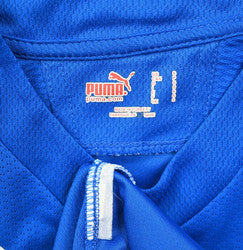 Maillot Hoffenheim 2009-11 Puma Ibisevic Domicile vintage