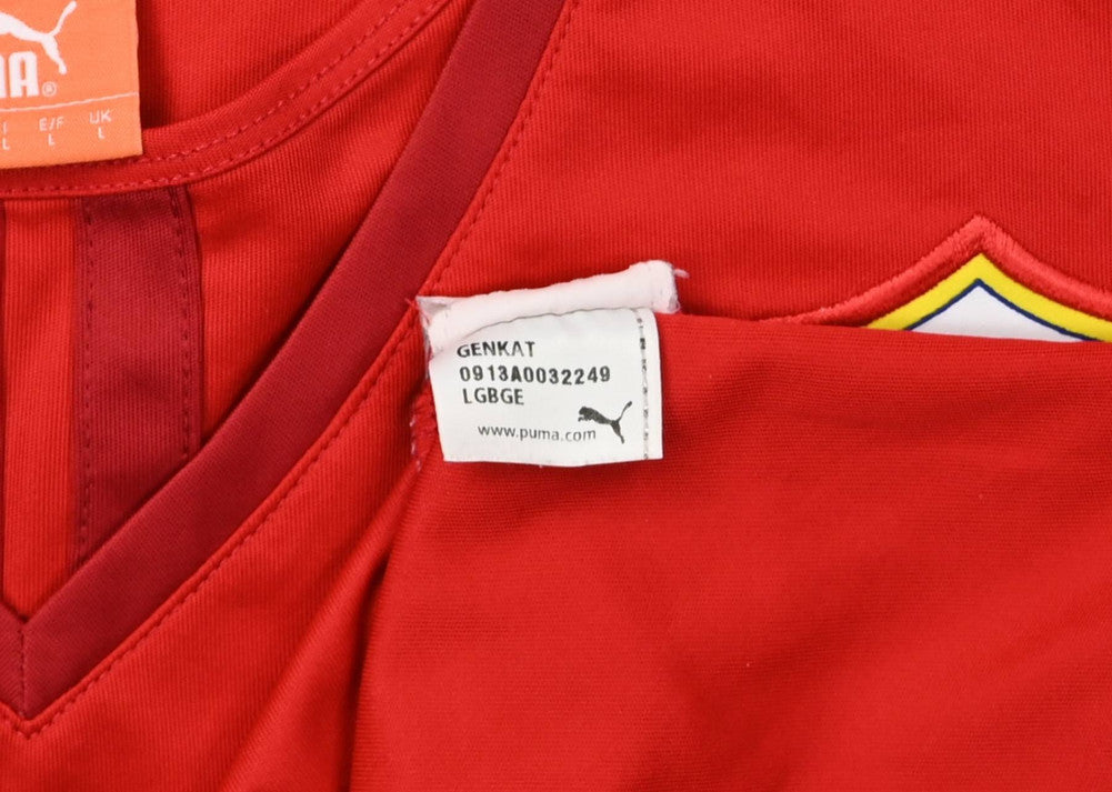 Maillot Cardiff City 2013-14 Domicile Puma Dæhli Visit Malaysia