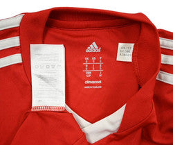 Maillot Southampton Domicile 2013-14 Adidas Vintage | AAP3