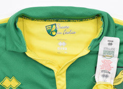 Maillot Norwich City Extérieur 2014-15 Errea MARTIN vintage