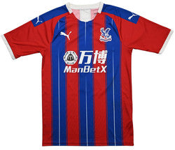 Maillot Crystal Palace Domicile Puma 2019-20 #15 Vintage