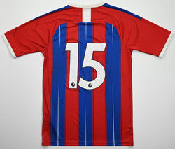 Maillot Crystal Palace Domicile Puma 2019-20 #15 Vintage