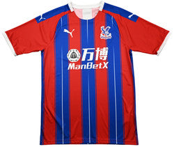 Maillot Crystal Palace Domicile 2019-20 Puma Vintage | 9/10