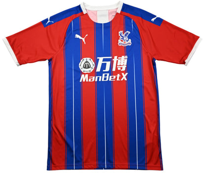Maillot Crystal Palace Domicile 2019-20 Puma Vintage | 9/10