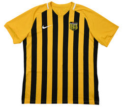 Maillot Bayburt Özel İdarespor 2020-21 Domicile Nike vintage