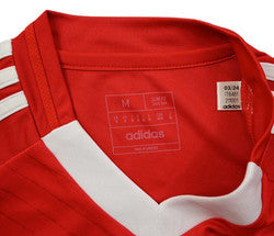 Maillot Benfica Domicile 2024-25 Adidas Emirates - Condition 9/10